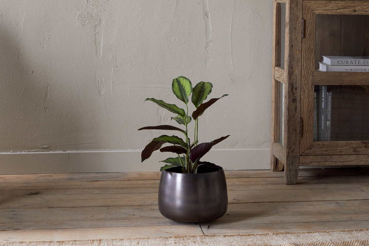 Pot de fleurs Maliki - Bronze vieilli