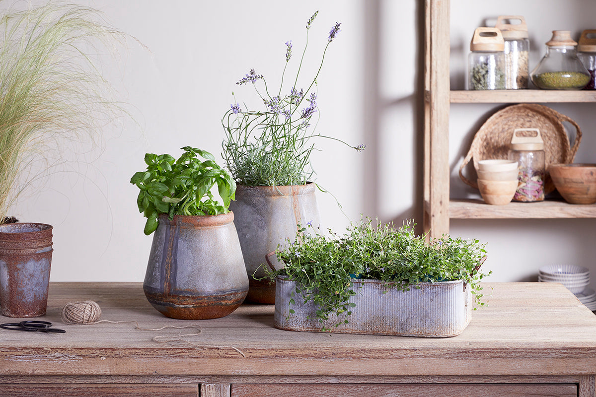 Jardinière d'extérieur Mamba - Zinc vieilli