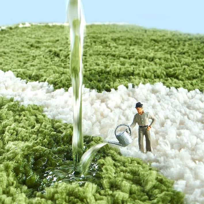 Tapis en forme de pied de canard