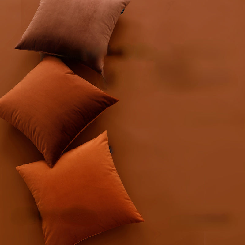 Housse de coussin et insert Caramel Album