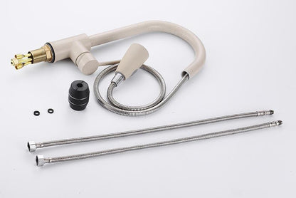 Robinet extensible moderne BLAISE couleur nude mat