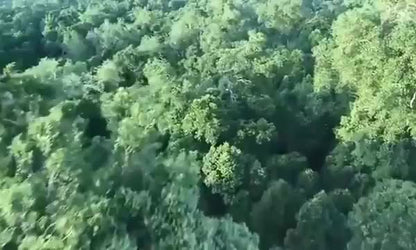 Banc Aubrey en bois massif nordique de 1,2 à 2,2 m