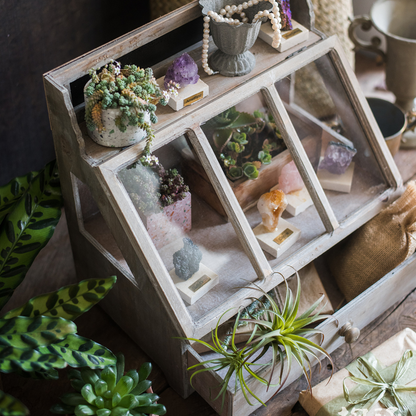 Boîte de présentation vintage Ludie