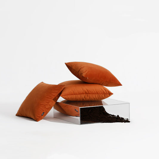 Housse de coussin et insert Caramel Album