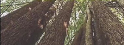 Table de chevet EZEKIEL de style campagnard américain français, 3 tiroirs (3 couleurs au choix) 