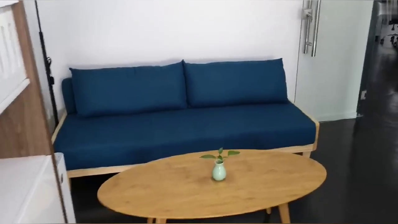 Canapé-lit BROOKLYNN RITZ en bois massif japonais scandinave (6 couleurs)