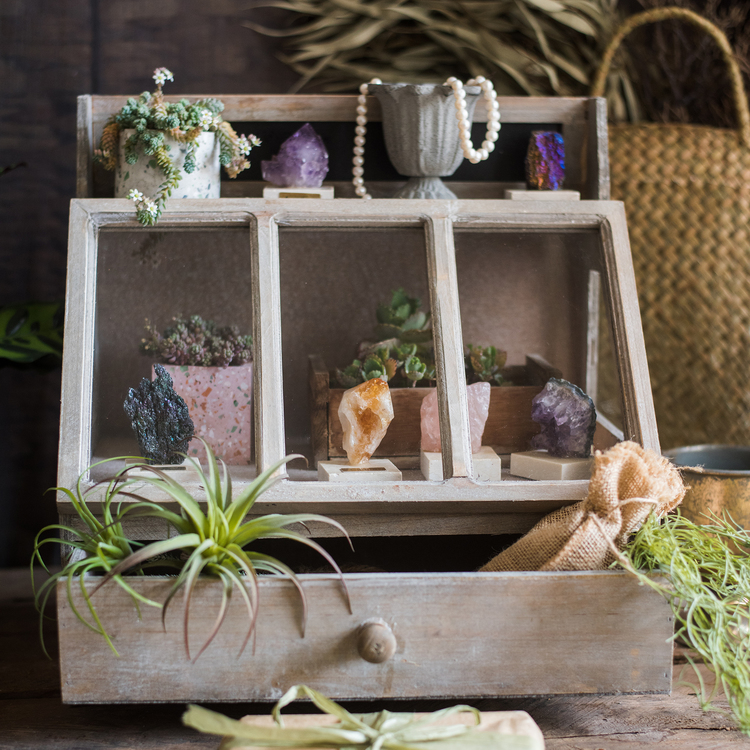 Boîte de présentation vintage Ludie