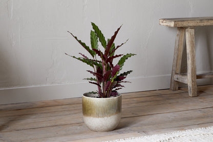 Pot de fleurs Almeida en émail réactif - Olive et naturel
