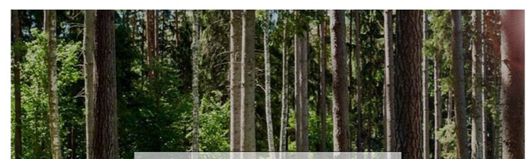 Buffet en rotin ALLISON (2 couleurs au choix : naturel et noyer)