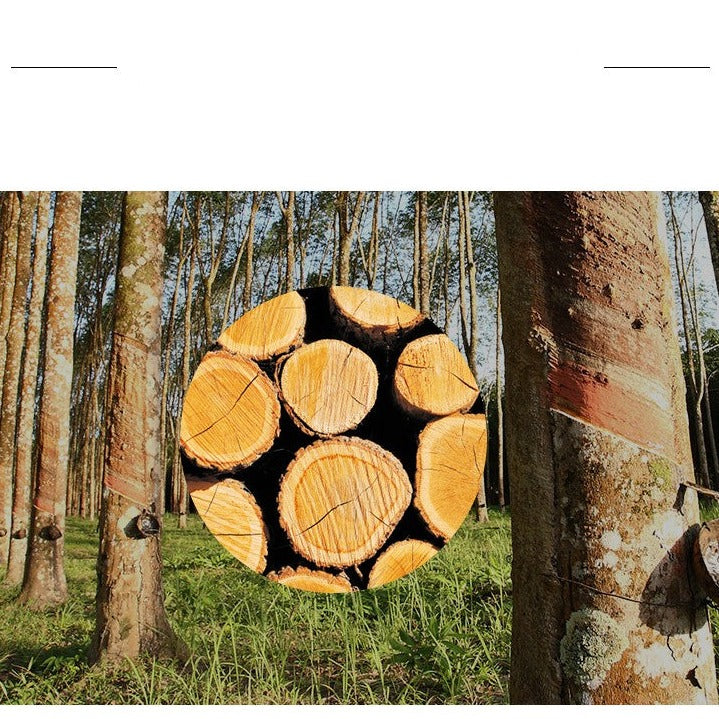 Meuble TV / présentoir Diana NEW YORK HILTON en bois dur nordique (noyer / couleur naturelle) 