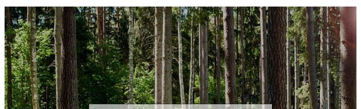 Buffet en rotin GABRIELLA Coastal Living Nordic (2 couleurs au choix)