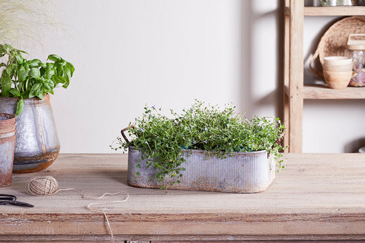 Bac à fleurs d'extérieur Japos - Zinc vieilli