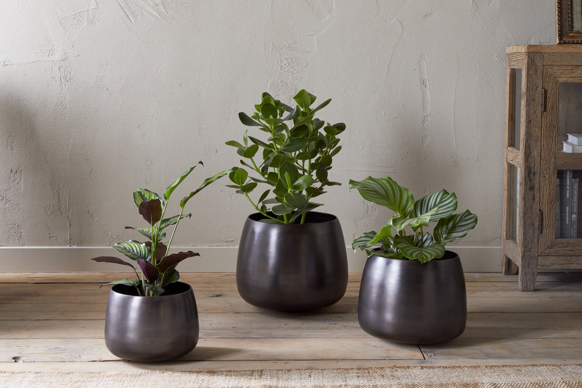Pot de fleurs Maliki - Bronze vieilli