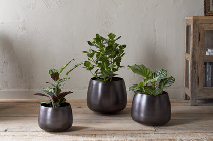 Pot de fleurs Maliki - Bronze vieilli