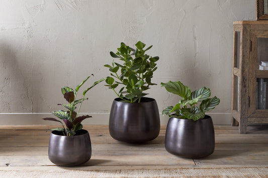 Pot de fleurs Maliki - Bronze vieilli
