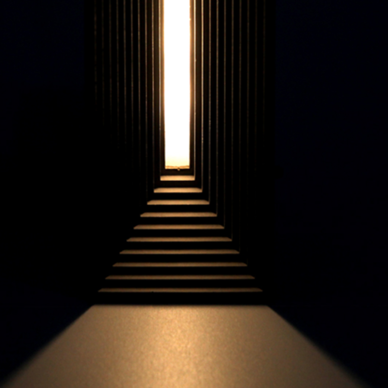 Larde répandant la lumière nocturne