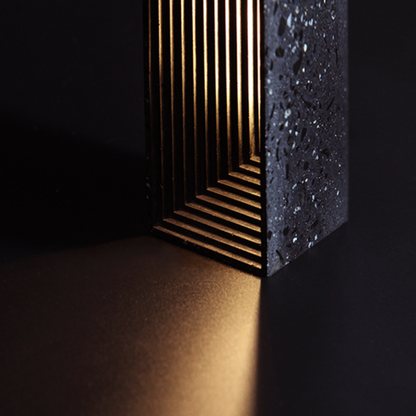 Larde répandant la lumière nocturne