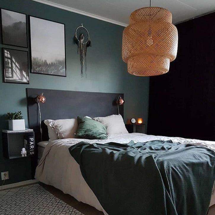 Luminaire suspendu à dôme simple à 1 lumière INS Elodie 